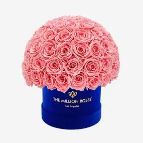 Classic Royal Blue Suede Superdome Box | Light Pink Roses